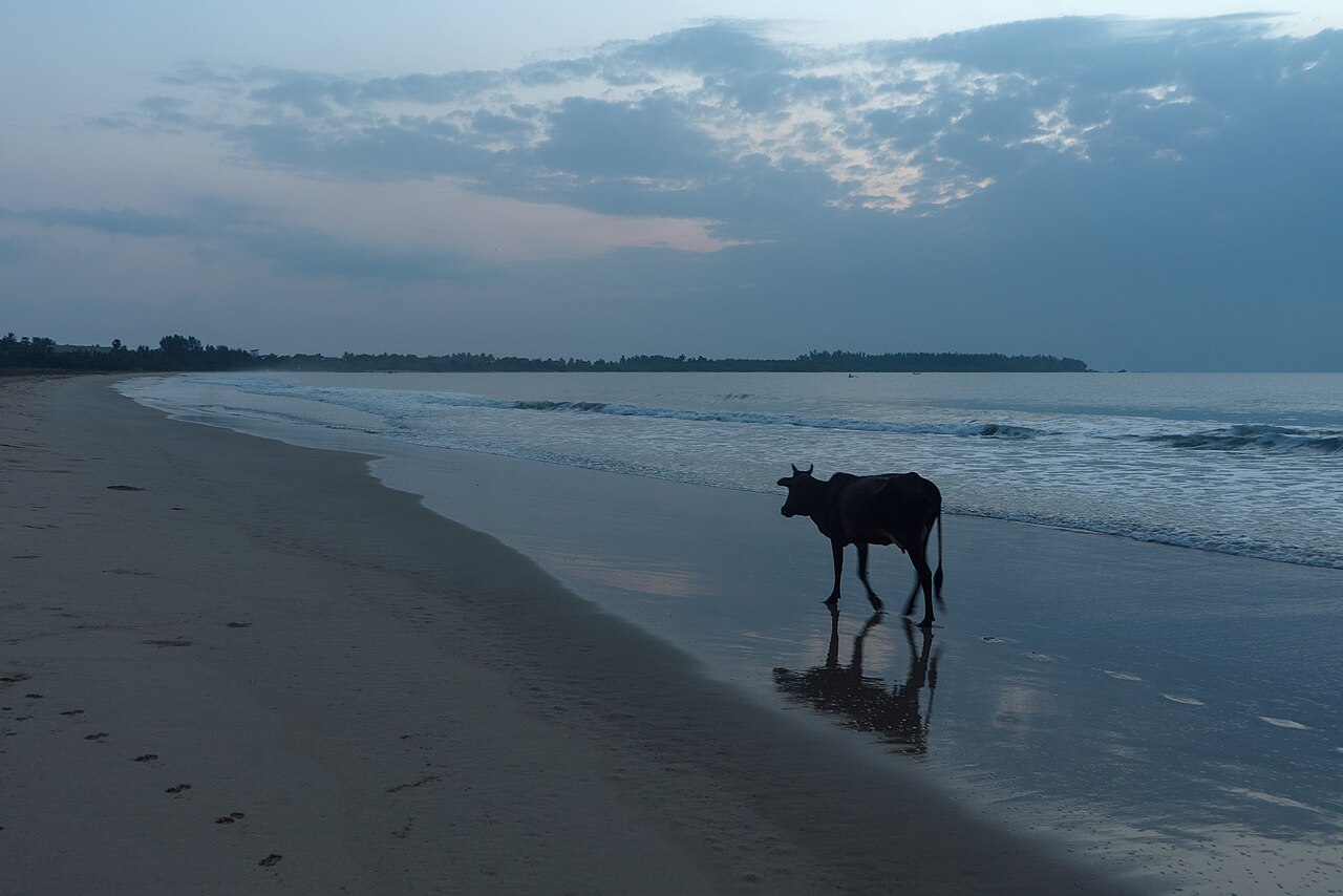 Sunrise over Kalkudah Beach beside Pasikudah